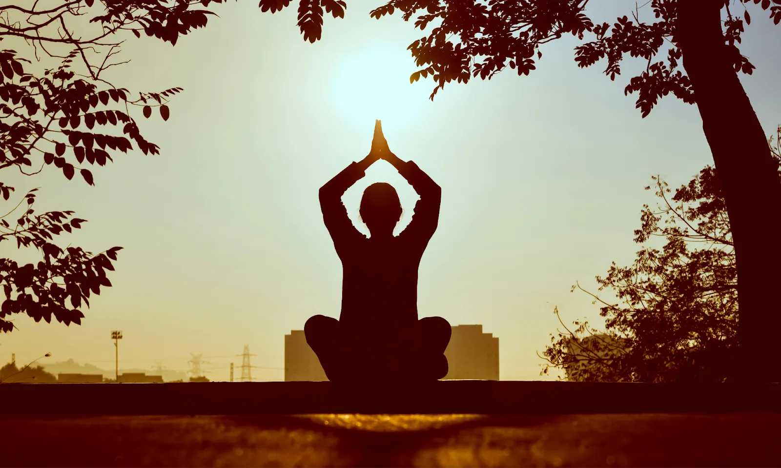 Meditation for Thyroid Healing